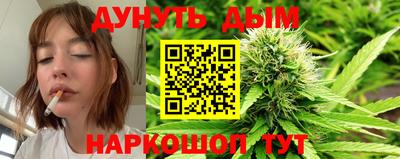 гидра Владикавказ