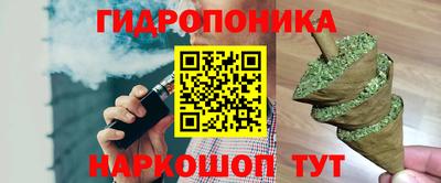 гидра Владикавказ