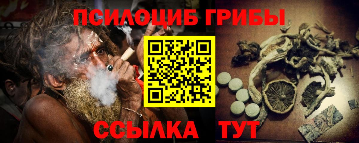 Соликамск  наркотики  Вход с VPN  Галлюциногенные грибы Psilocybe 